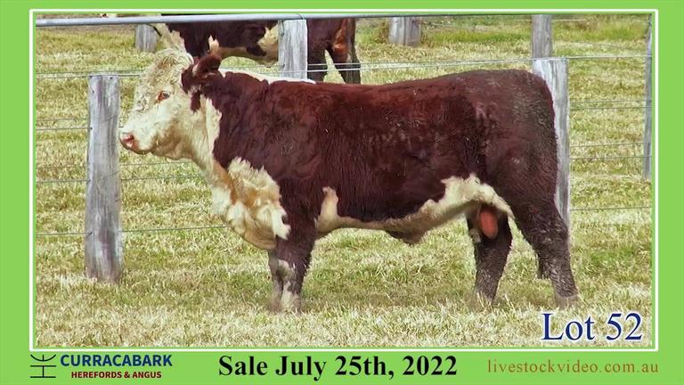 Lot 52 Curracabark 2022