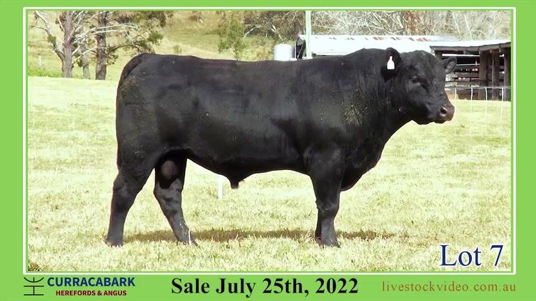 Lot 7 Curracabark 2022