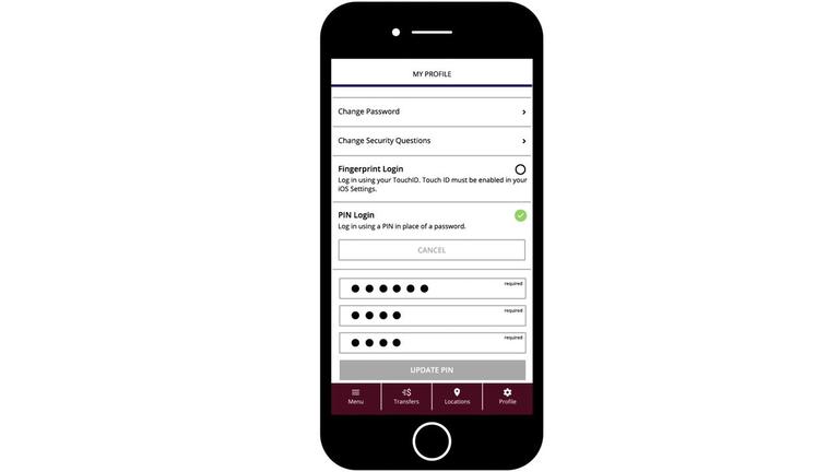 PIN Login