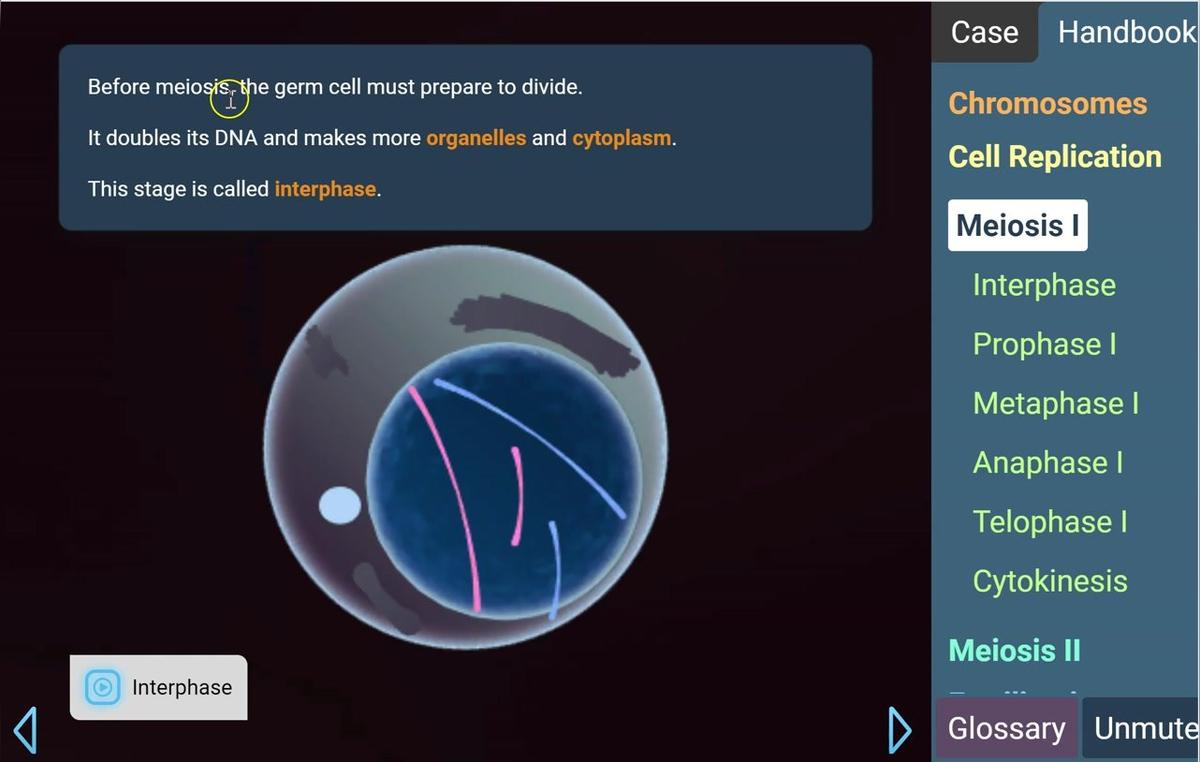 Meiosis I.mp4
