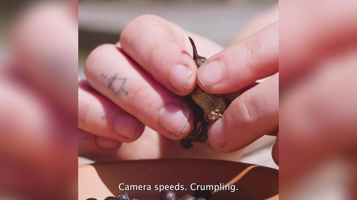 EARTH DAY 2022 TEASER 1-1