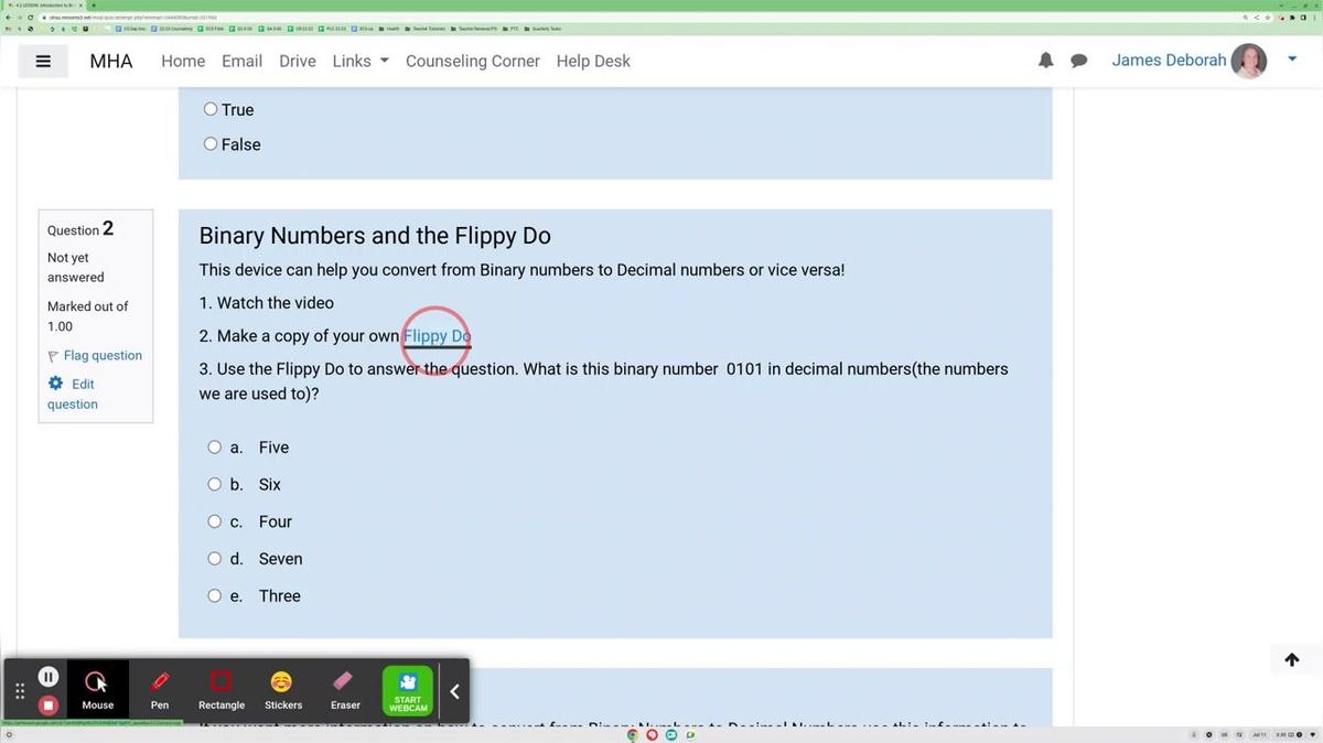 Flippy Do Explanation