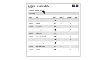Account Rights for User Roles