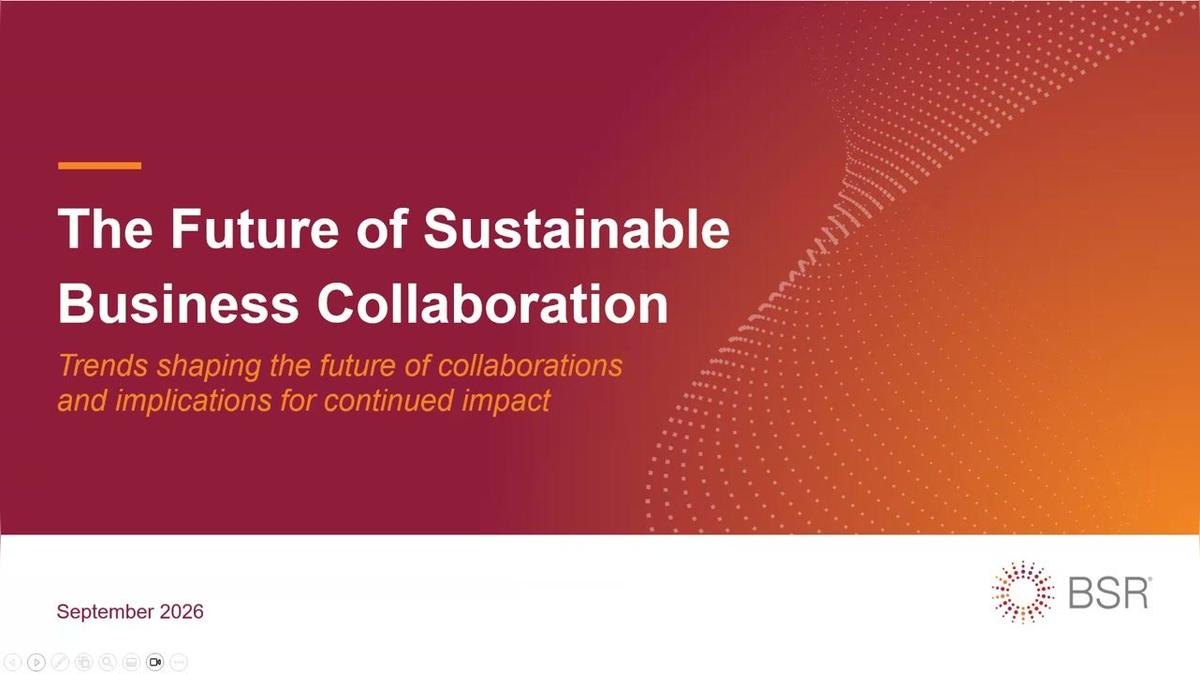 The Future of Sustainable Business Collaboration