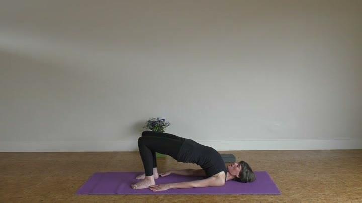 Bridge, shoulder stand and fish pose