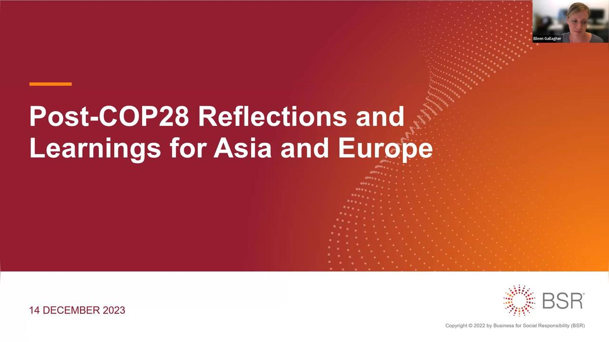Post-COP28 Reflections and Learnings for Asia and Europe