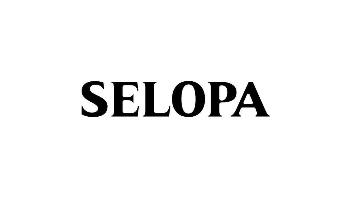 Selopa Handsy Purple USB Rechargeable Layon Stimulator