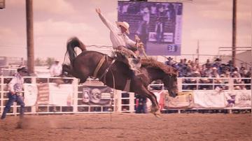 Miles City Bucking Horse Sale