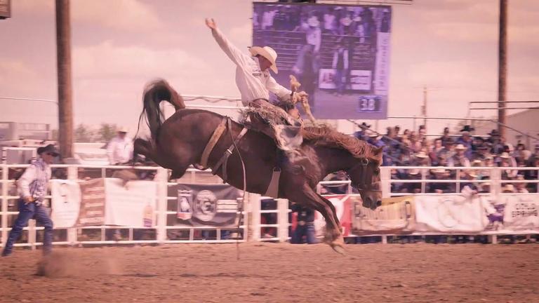 Miles City Bucking Horse Sale