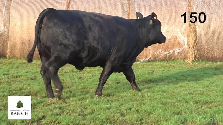 Lot 150 M004