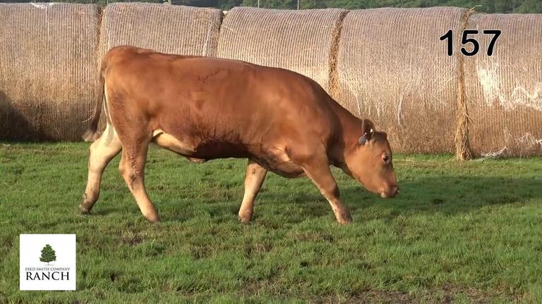 Lot 157 M092