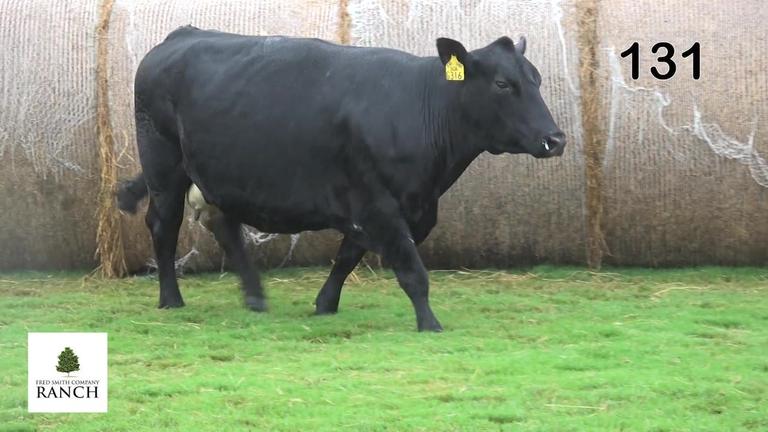 Lot 131 G316