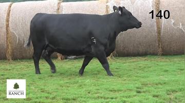 Lot 140 9286G