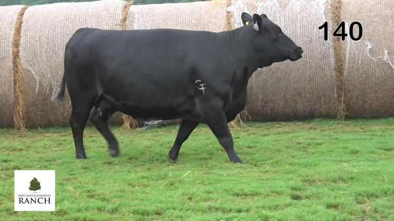Lot 140 9286G