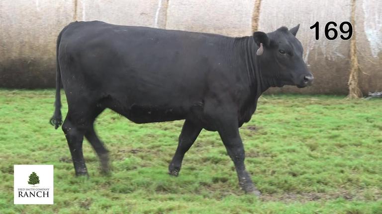 Lot 169 M334
