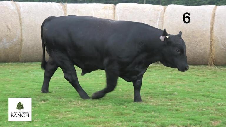 Lot 6 M164