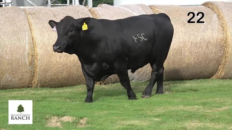Lot 22 M059