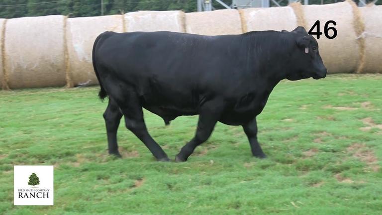 Lot 46 M110