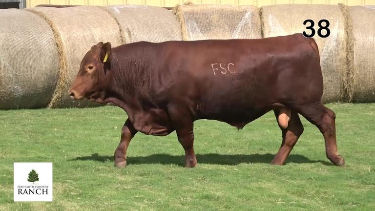 Lot 38 M090