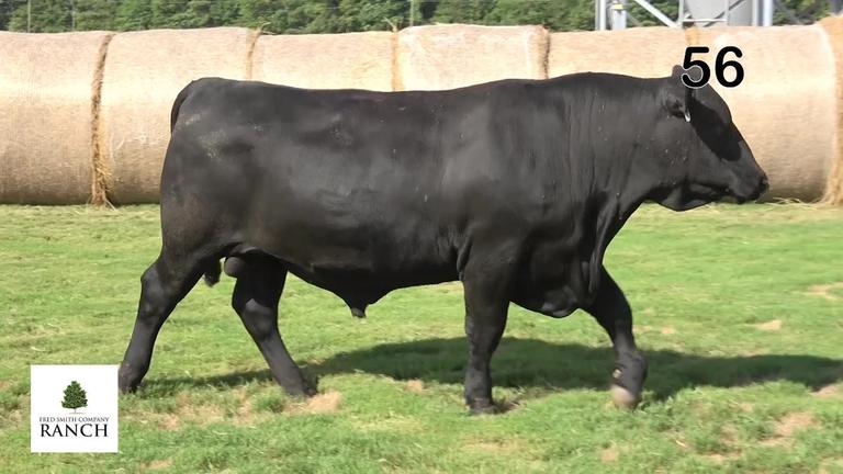 Lot 56 M170
