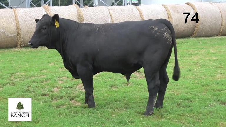 Lot 74 M201