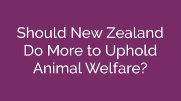 Animal welfare in New Zealand
