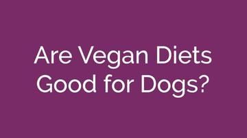 Are Vegan Diets Good for Dogs?