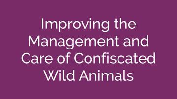 Wildlife Trade - Confiscated Animals