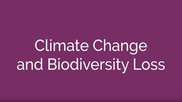 Climate Change and Biodiversity Loss