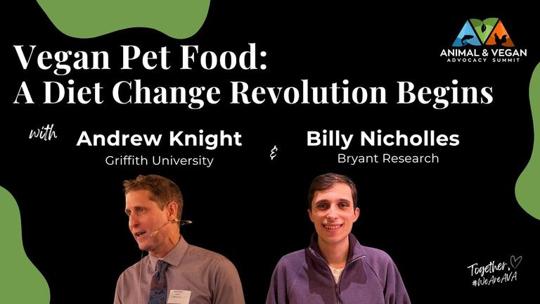 Vegan Pet Food: A Diet Change Revolution Begins