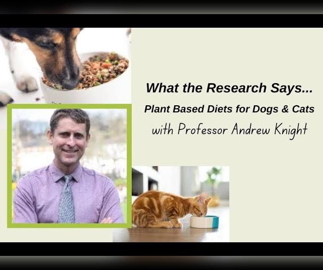 What Research Says...Plant Based Diets for Dogs and Cats?