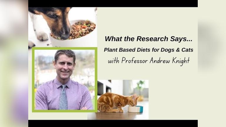 What Research Says...Plant Based Diets for Dogs and Cats?