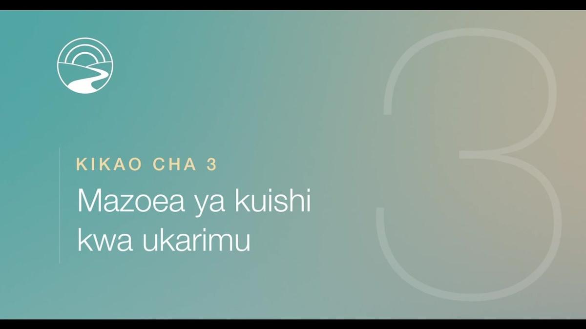 SW-TZ-SUB - JOG Core-Plus - FVideos - Session 3 (SEA - SSA)