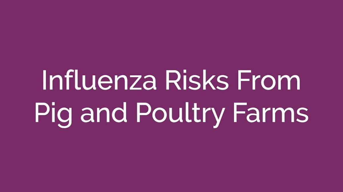 Influenza Risks From Pig and Poultry Farms