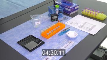 DAY 2 Electrophoresis - Draft 1