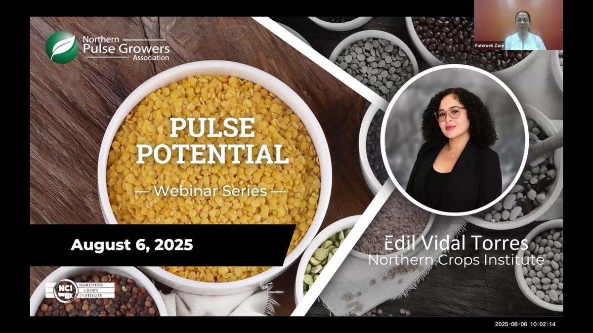 Pulse Possibilities: Through Processing and Product Development with Edil Vidal Torres