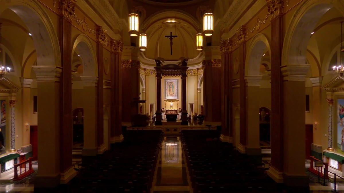 December 12 Livestream