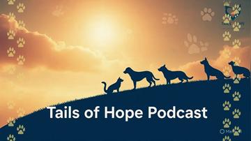 Tail Of Hope Andrew Knight Season 2 Episode 9 FINALE