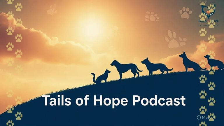 Tail Of Hope Andrew Knight Season 2 Episode 9 FINALE