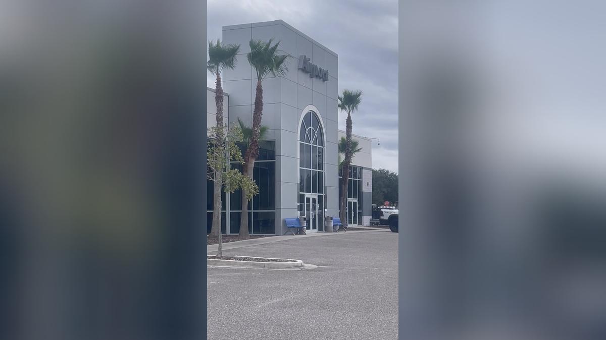 David's video by Leo 240-486-1003