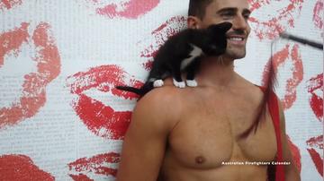 2024 Australian Firefighters Cat Calendar (1.24m)