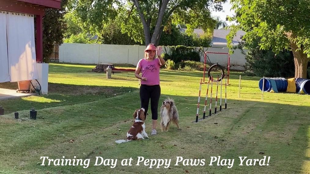 2023 10 05 Training Day at Peppy Paws Play Yard