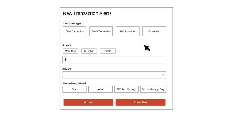 Transaction Alerts