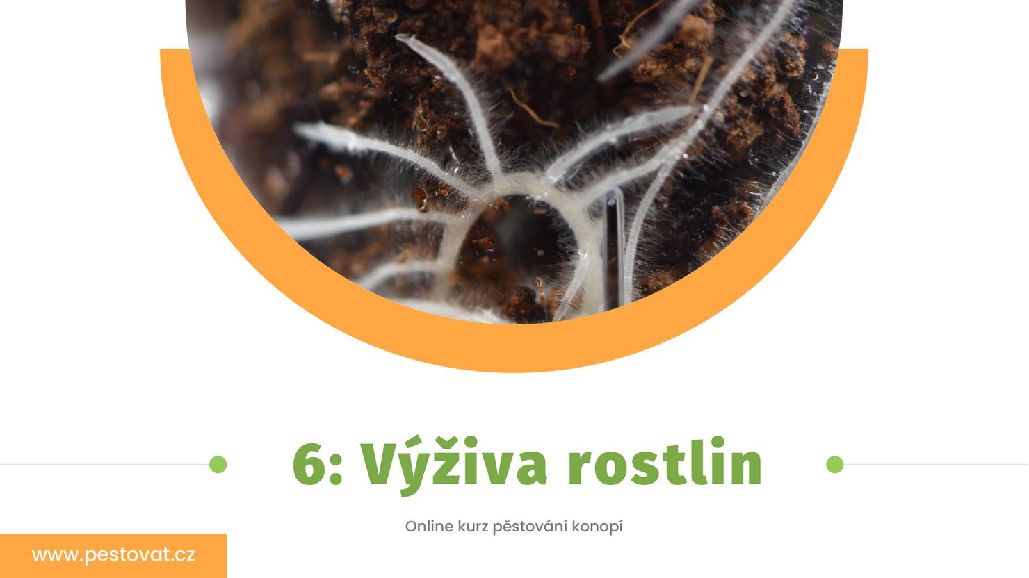 6. lekce: Výživa rostlin
