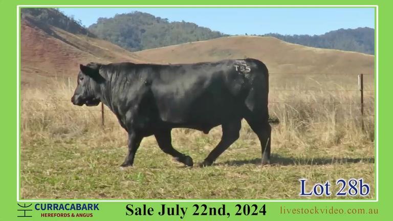 Lot 28b
