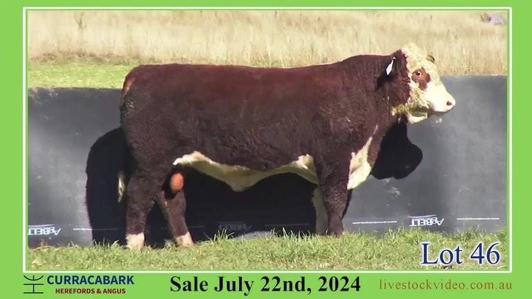 Lot 46