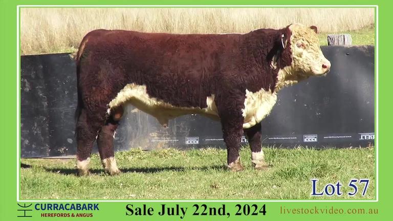 Lot 57