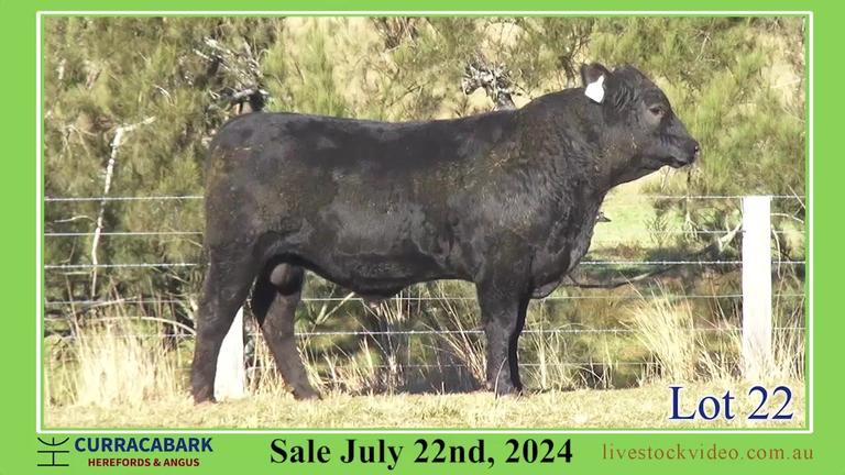Lot 22