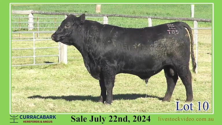 Lot 10