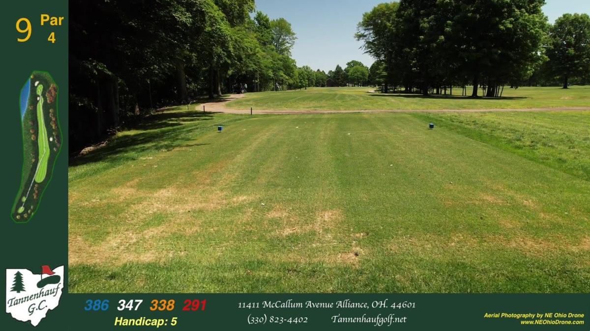 Tannenhauf Hole # 9 new